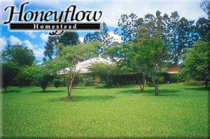 Honeyflow Homestead - Accommodation Yamba