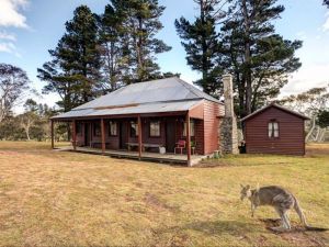 The Pines Cottage - Accommodation Yamba